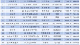 切尔西“买卖模式”被批：没有顶级门将，英超冠军只是镜花水月